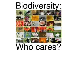 Biodiversity: Who cares?