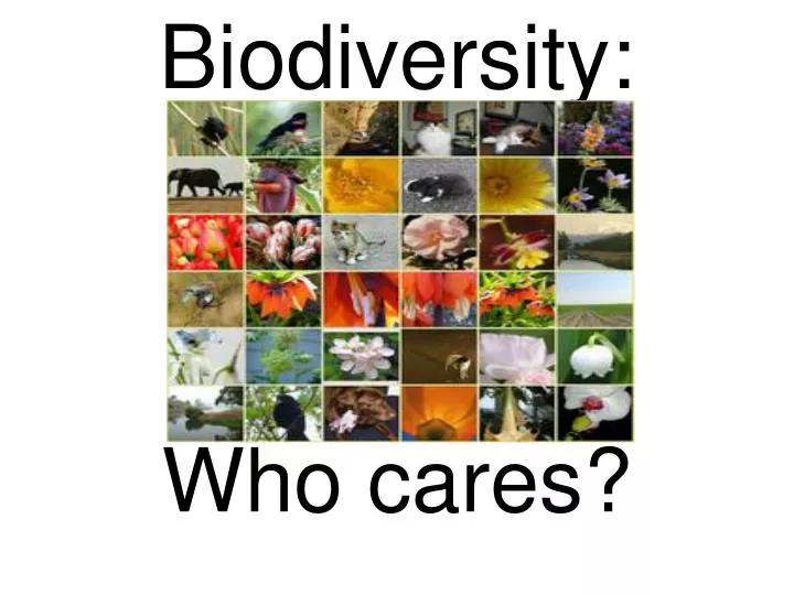 biodiversity who cares