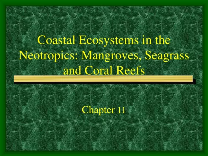 coastal ecosystems in the neotropics mangroves seagrass and coral reefs