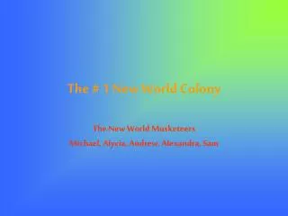 The # 1 New World Colony