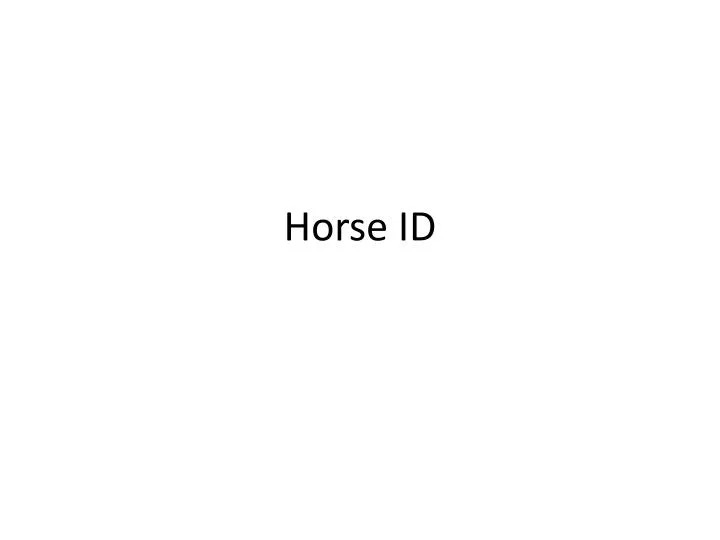 horse id