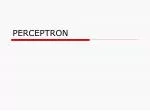 PERCEPTRON - slide 1