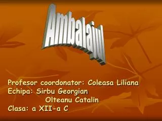 profesor coordonator coleasa liliana echipa sirbu georgian olteanu catalin clasa a xii a c