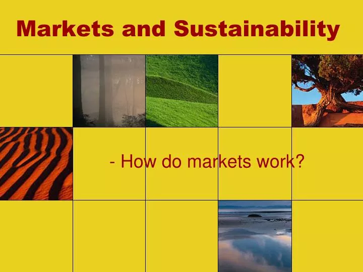 markets and sustainability