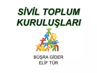 s v l toplum kurulu lari