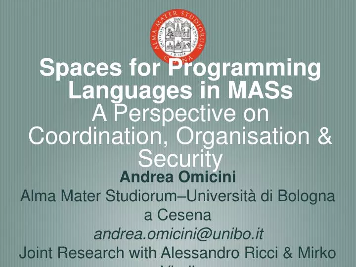 spaces for programming languages in mass a perspective on coordination organisation security