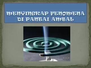 menyingkap fenomena di pantai ambal
