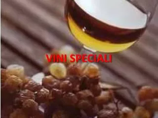 vini speciali