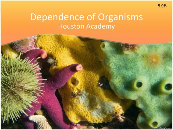dependence of organisms