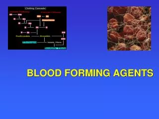BLOOD FORMING AGENTS