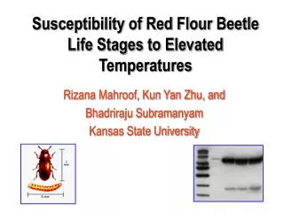 Susceptibility of Red Flour Beetle Life Stages to Elevated Temperatures