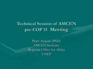 Technical Session of AMCEN pre-COP 15 Meeting