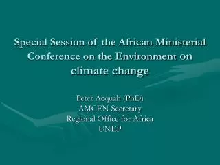 Special Session of the African Ministerial Conference on the Environment on climate change