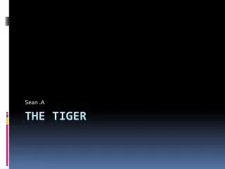 The Tiger