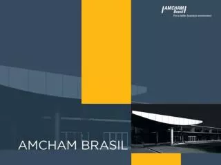 OVERVIEW ON AMCHAM BRAZIL INSTITUTIONAL PROFILE