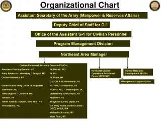 Organizational Chart