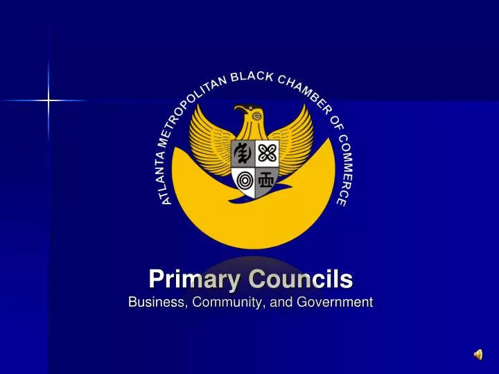 primary councils business community and government