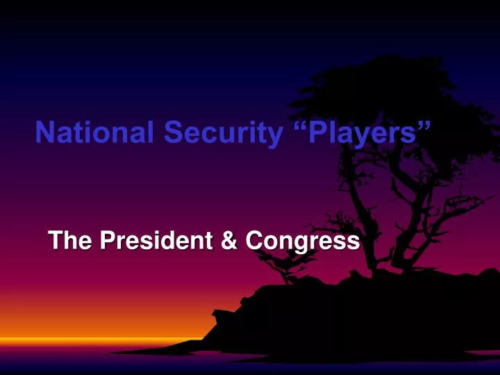 national security players