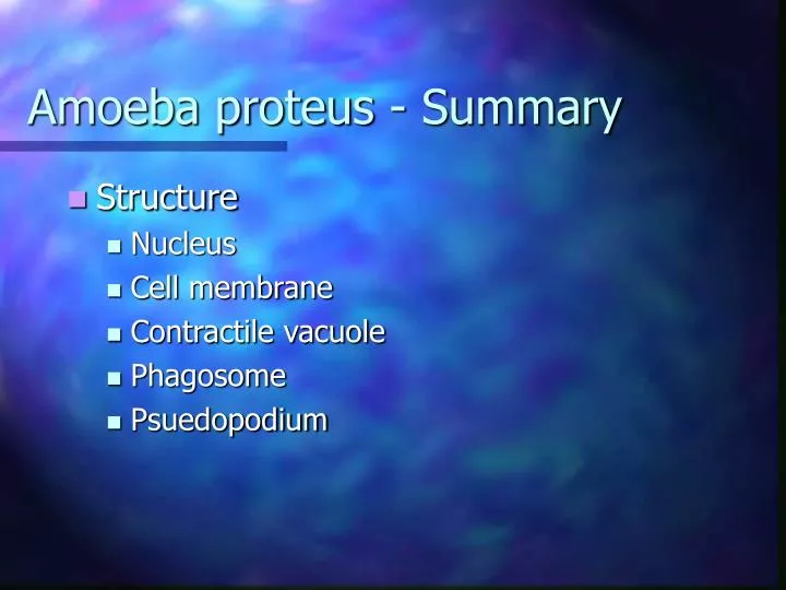 amoeba proteus summary