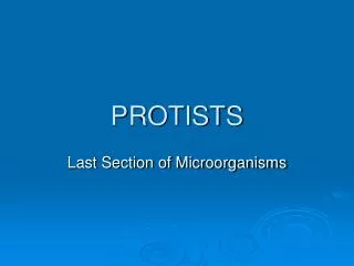 PROTISTS