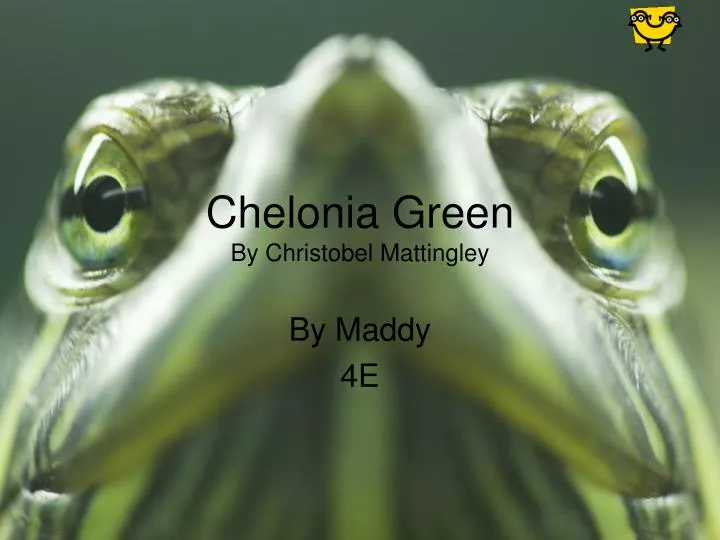 chelonia green by christobel mattingley