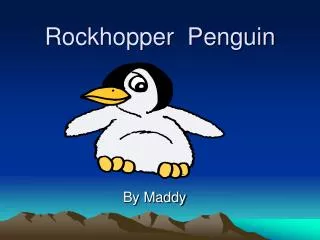 Rockhopper Penguin