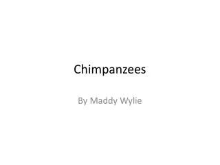 Chimpanzees