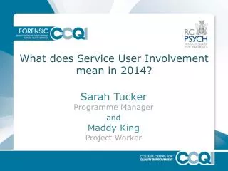 What does Service User Involvement mean in 2014?