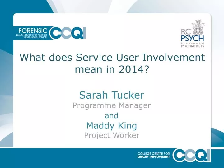 what does service user involvement mean in 2014