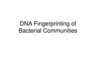 DNA Fingerprinting of Bacterial Communities