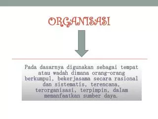 organisasi