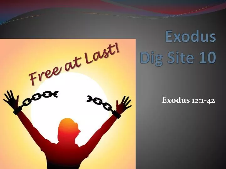 exodus dig site 10