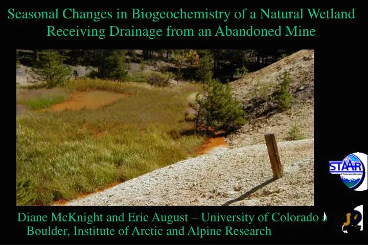 seasonal changes in biogeochemistry of a natural wetland receiving drainage from an abandoned mine