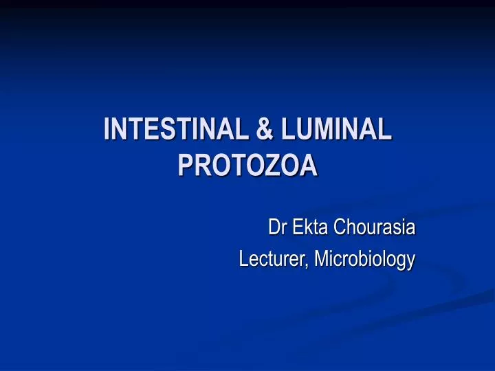 intestinal luminal protozoa