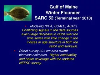 Gulf of Maine Winter Flounder SARC 52 (Terminal year 2010)