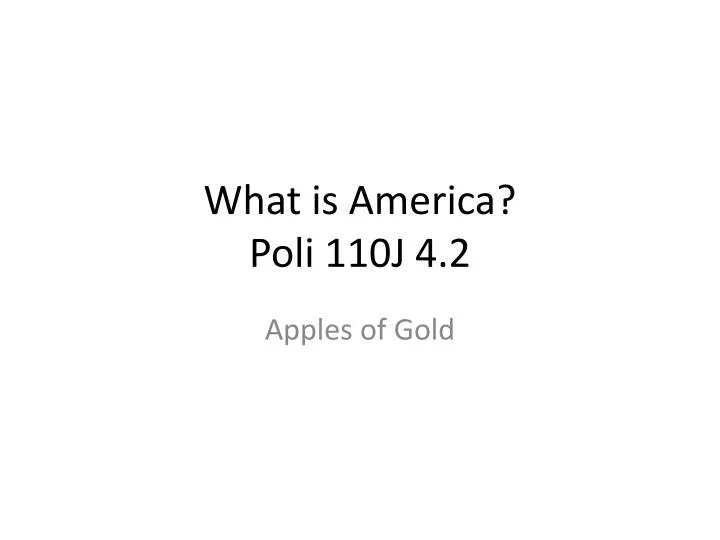 what is america poli 110j 4 2