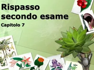 rispasso secondo esame