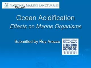 Ocean Acidification Effects on Marine Organisms