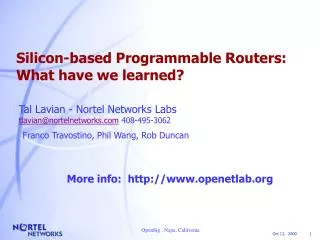 Silicon-based Programmable Routers: What have we learned?