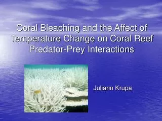 Coral Bleaching and the Affect of Temperature Change on Coral Reef Predator-Prey Interactions