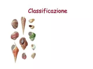 classificazione