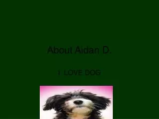 About Aidan D.