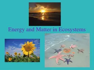 Energy and Matter in Ecosystems