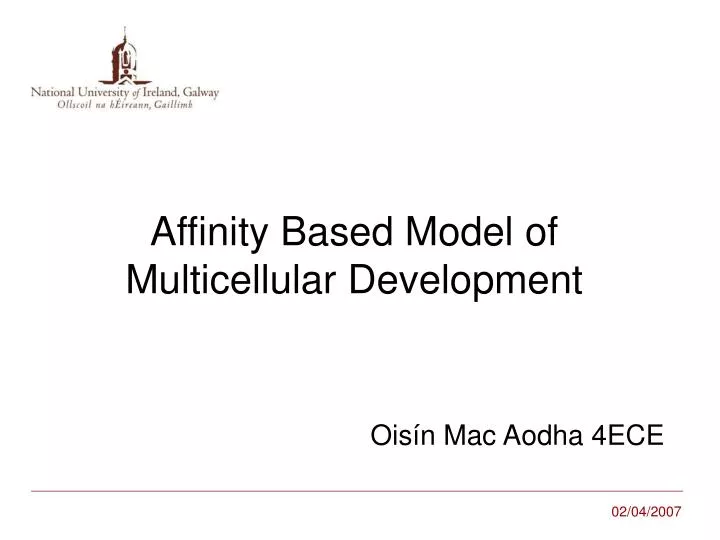 affinity based model of multicellular development