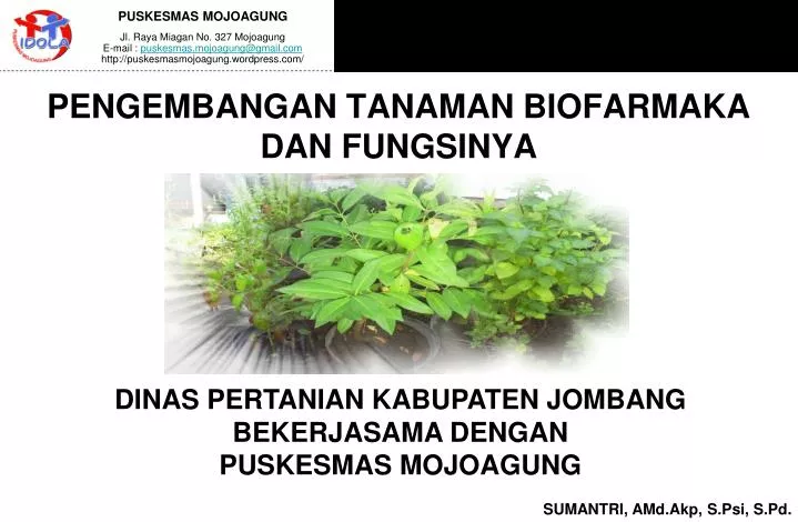 pengembangan tanaman biofarmaka dan fungsinya