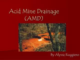 Acid Mine Drainage (AMD)