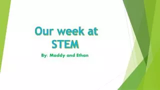 Our week at STEM