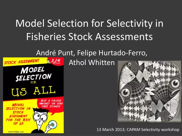 model selection for selectivity in fisheries stock assessments