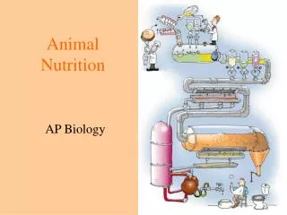 animal nutrition