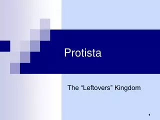 Protista